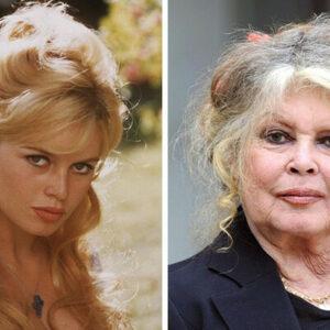 She Quit Hollywood at Her Peak—Brigitte Bardot’s Life Will Shock You